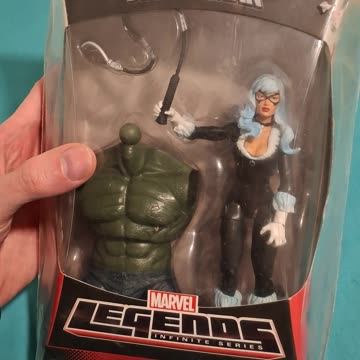 Hasbro MARVEL LEGENDS SKYLINE SIRENS BLACK CAT