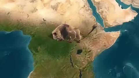 Loudest Animal on Earth Shakes the pistol shrimp