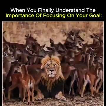 Focusing on your goal is what will take you there.