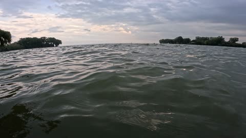 tiny waves
