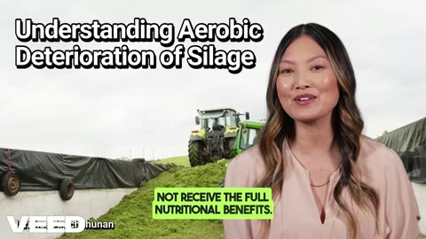 Mastering Silage:Combat Aerobic Detorioration