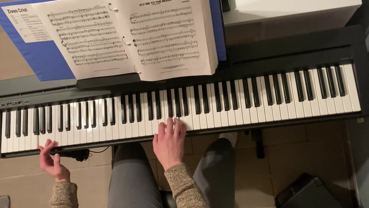 Fly Me to the Moon (Instrumental)