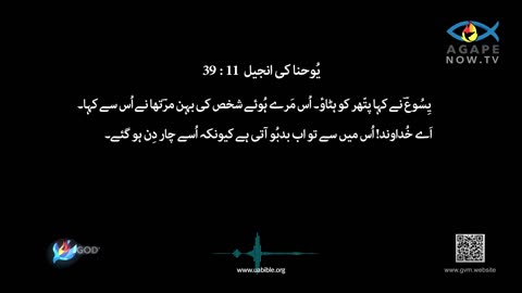 John chap 11 | Gospel ofJohn | Urdu Bible | یوحنا کی انجیل | Yohana ki Anjeel 11 baab