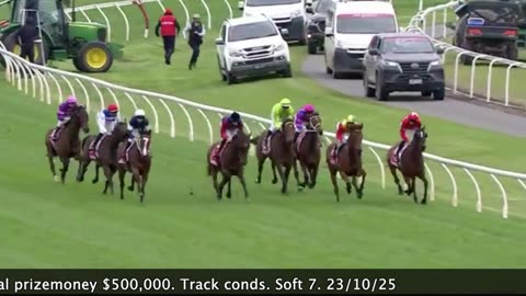 2025 Geelong Cup | Gilded Water, Whisky On The Hill, Torranzino