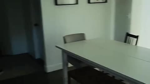 Ghost in the kitchen.