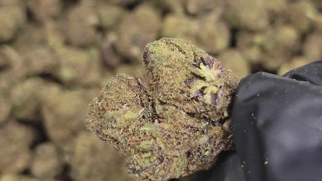 Purple Runtz THCA Flower