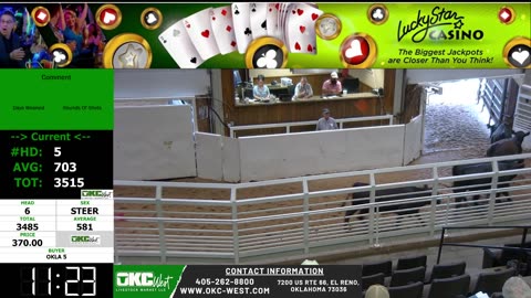 5/21/2025 - Feeder Calf Auction - OKC West