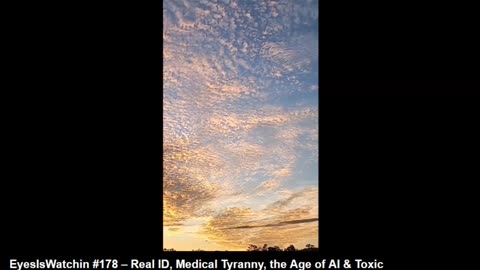 NEEDLES TO #NANODUST = CHEMTRAILS RAIN DOWN POISON- PRAY!!