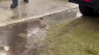 ICE in America is hunting down illegal immigrants house to house, mercilessly.