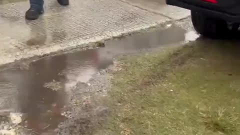 ICE in America is hunting down illegal immigrants house to house, mercilessly.