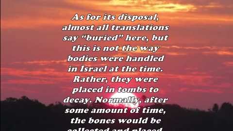 Matthew 14:12 - Daily Bible Verse Commentary