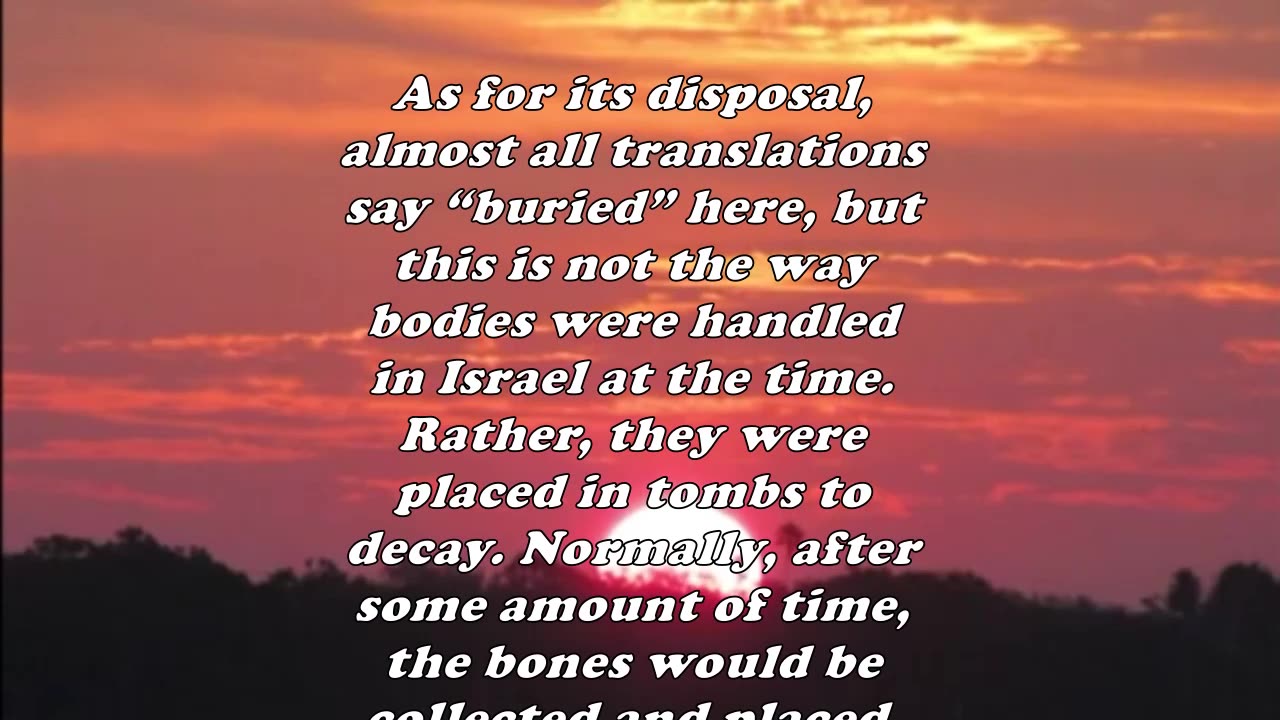 Matthew 14:12 - Daily Bible Verse Commentary