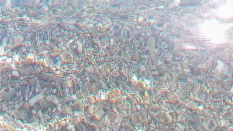 🔊🎶🎵🎶 Adventures with sea fishes in Salobreña... 😃🐟🐠🐾🌊😜🤭
