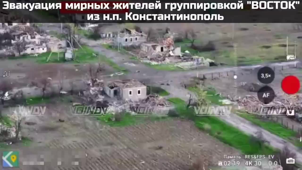 Russian Troops Evacuated a Group of Civilians and Their Dogs From Constantinople