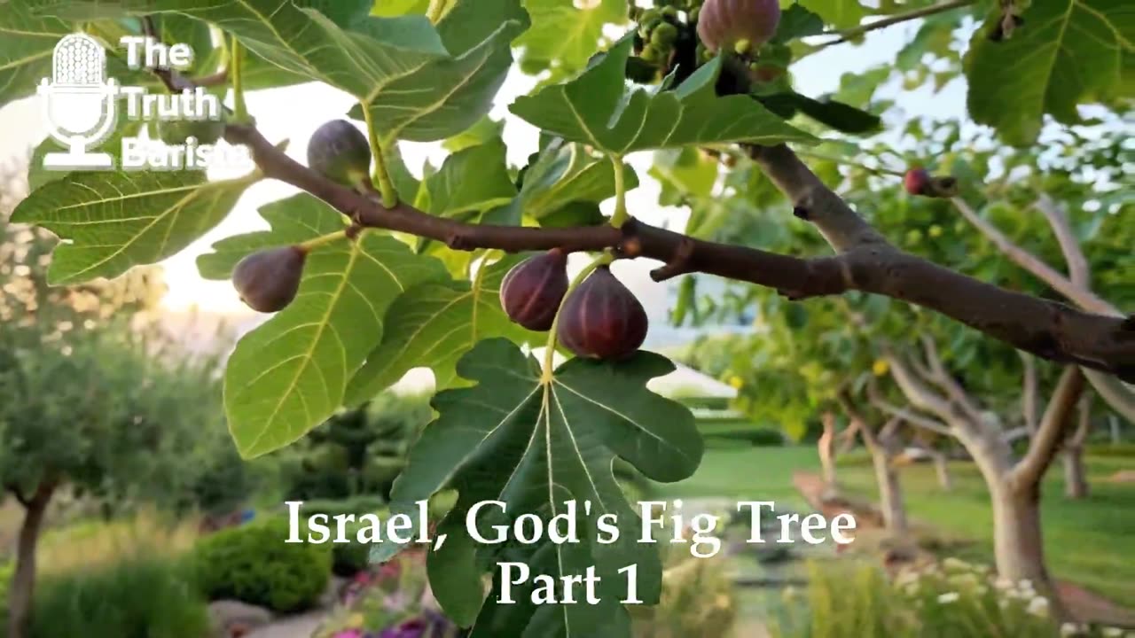 Israel, God’s Fig Tree, Part 1