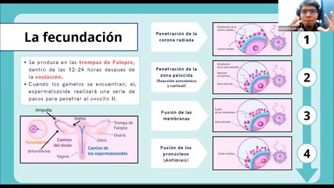 AULA 20 REGULAR 2025 - 1 | Introductorio I | Anatomía