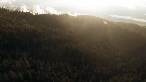 "Your time is limited, so don't waste it living someone else's life.