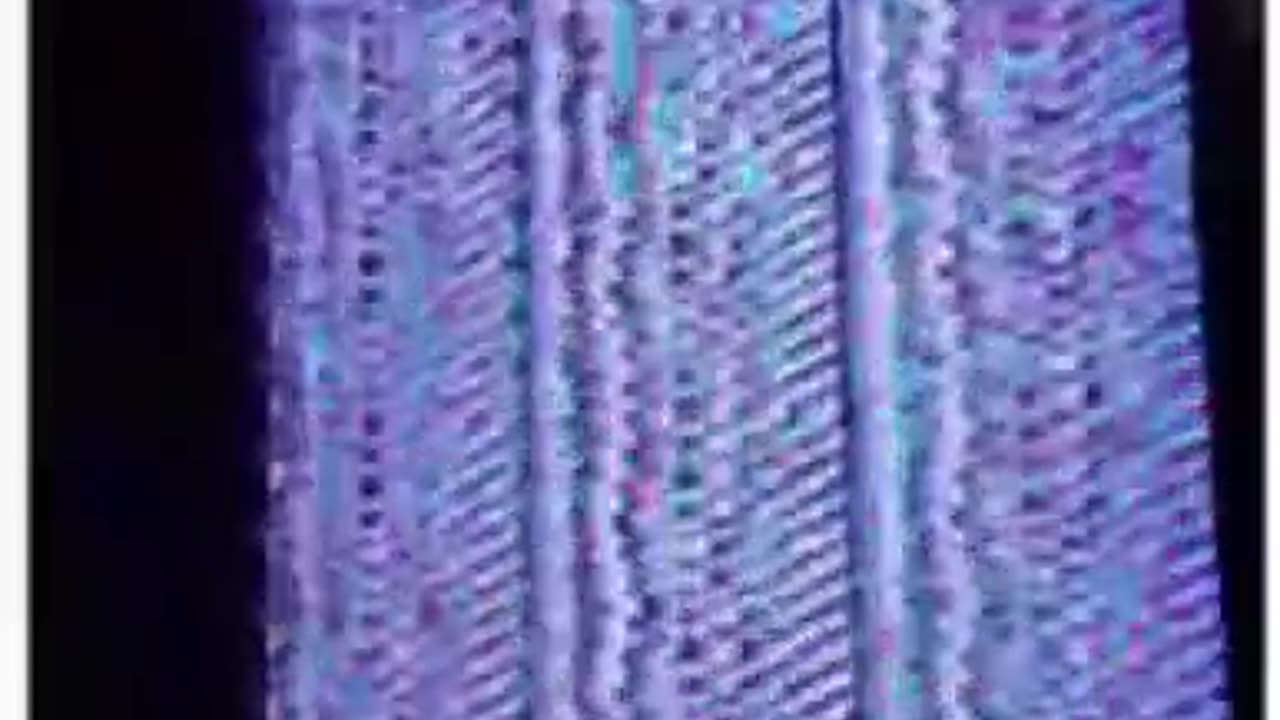 [Mar2025] Cyraxx thinks he might be getting DDoS for some reason