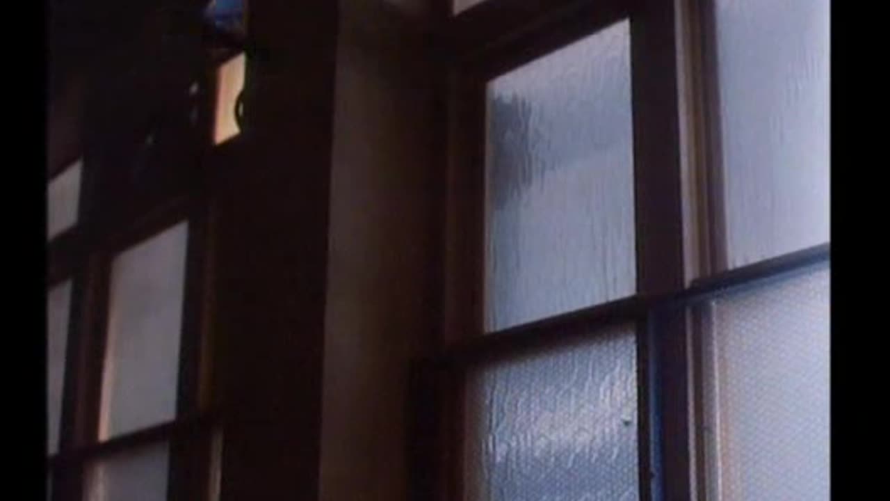 Kate Bush - And So Is Love = 1994