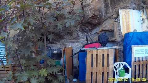 250502a___Madeira_NS-404._More_things_for_garden.(1080p)