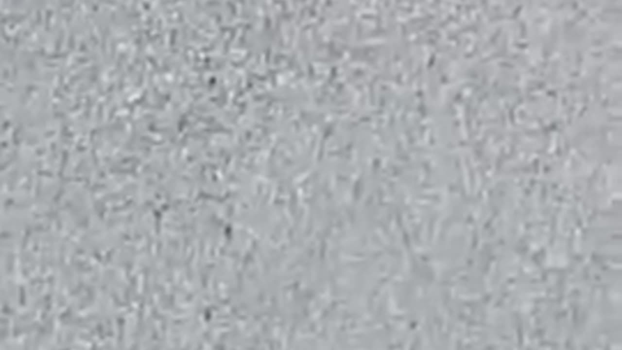 Bees Are Being Massacred by 5G Towers