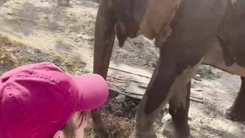 LIBERATING MONDAY 1/26/26