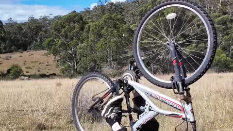 How Animals Ride Bike.
