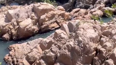 God stay in Divine Flow and do daily meditations to raise to high vibrations, which is essential now