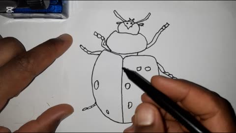 How to Draw a Cute Ladybug Step by Step 🐞 | Easy Drawing for Kids & Beginners