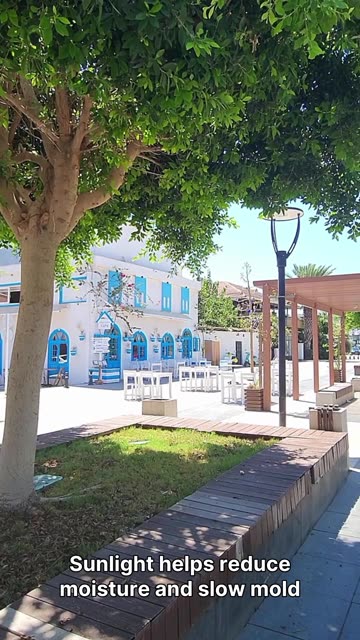 Simple Ways to Prevent Mold on Outdoor Furniture