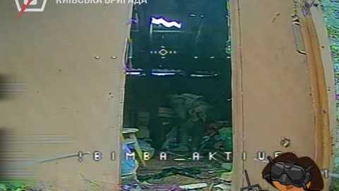 FPS Dora Doesn't Play Games