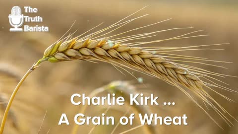 Charlie Kirk … A Grain of Wheat