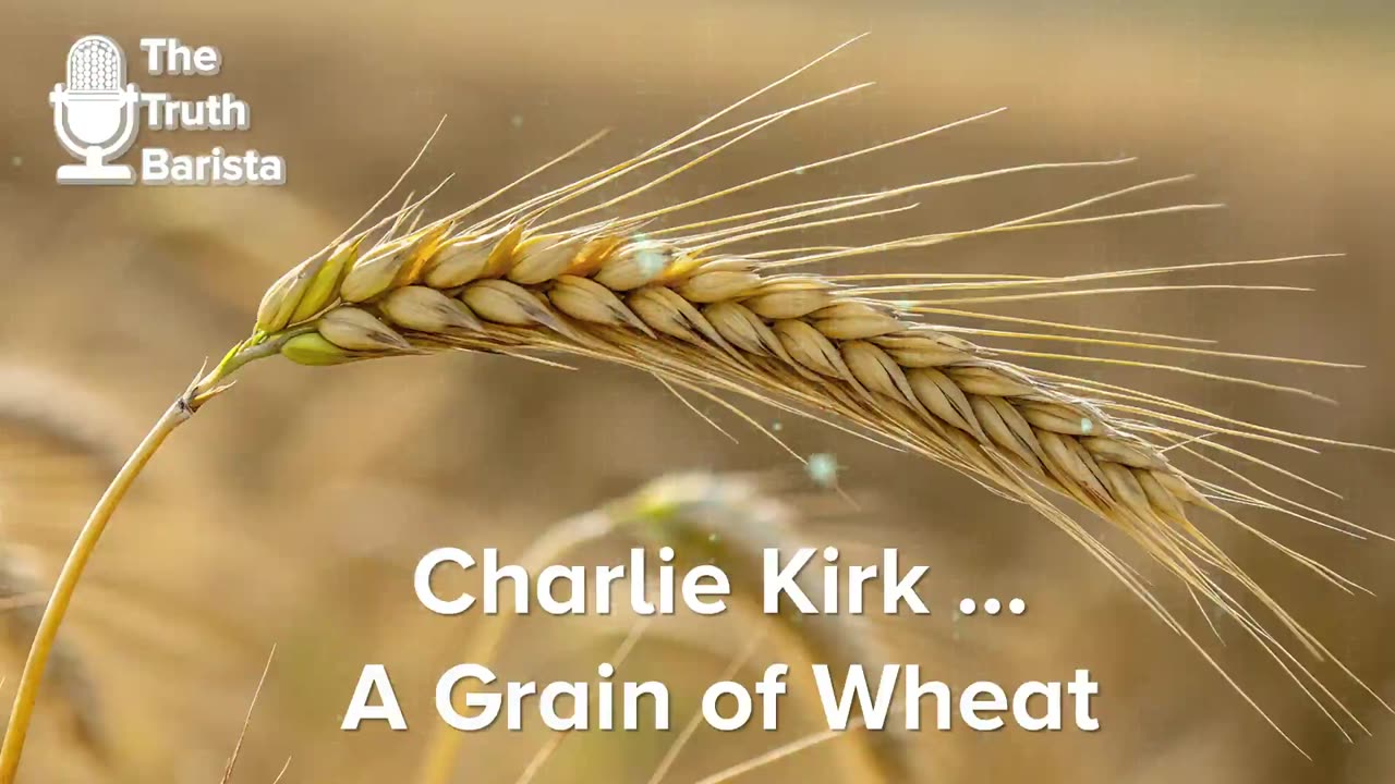 Charlie Kirk … A Grain of Wheat