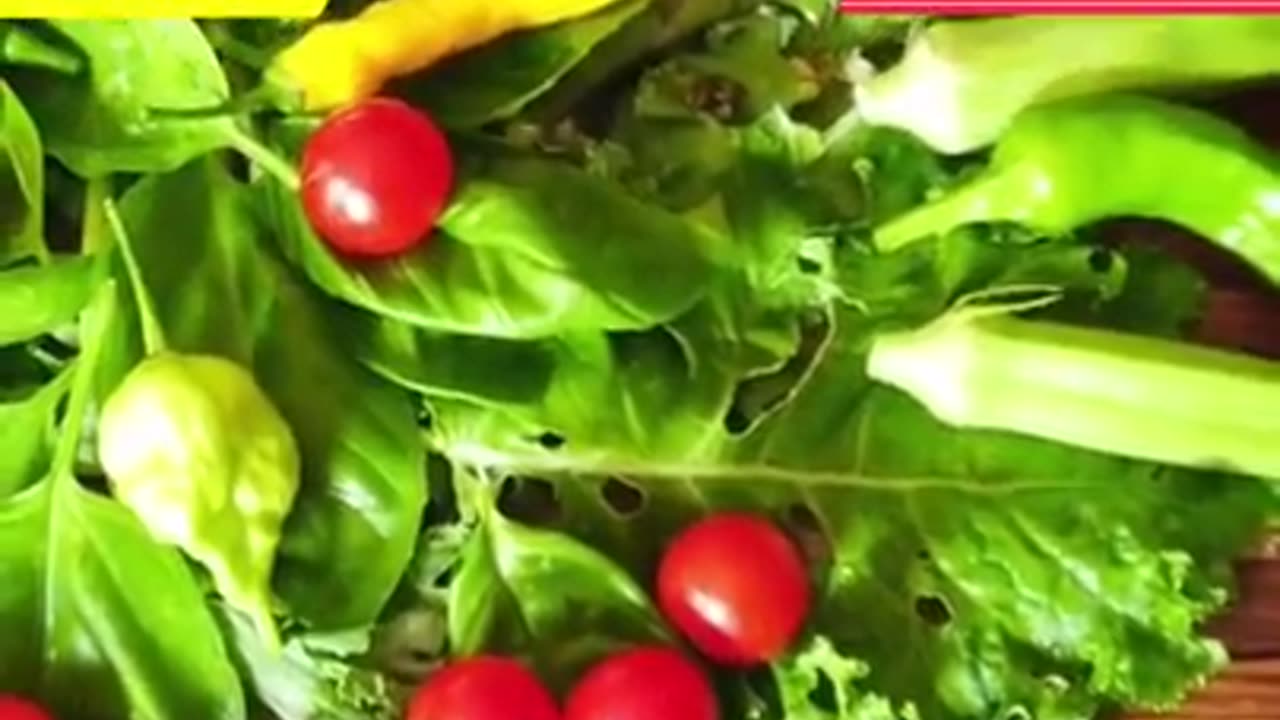 Benefits of Eating Ladyfinger in Summer