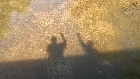 Hello, it's us.....