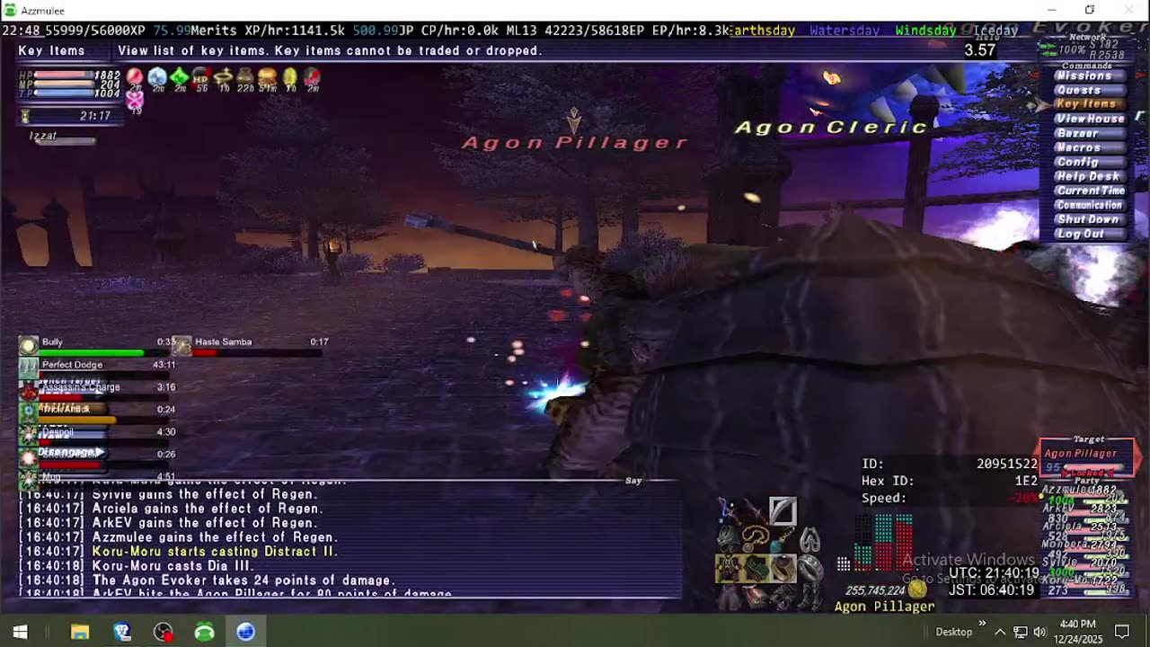 Playing Final Fantasy XI Online