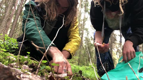 Barefoot 🐾 in the forest 🌲 picking mushrooms