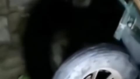 😨👀 3 Scary Videos You Need to See | TheHauntingHour