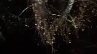 🚀🌤️ Ukraine Russia War | Ukrainian Missile Barrage Hits Bryansk, Russia | RCF