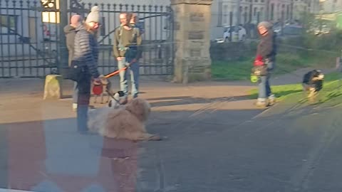 leads on 2 LEAVE a CEMETERY after a SHIT/PISS/TRAMPLE THE DEAD/VIOLATE THE INSANE& dogs with kids
