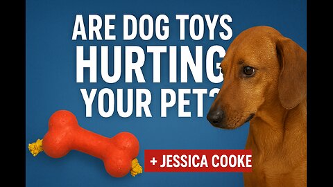 Dog Toy Dangers + A Nation Divided and hearing from YOU after Charlie Kirk's shooting death