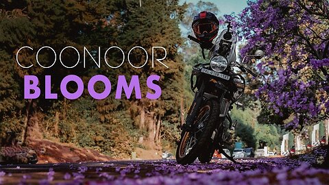 Stories From The Nilgiris (Part-2) - Coonoor - Himalayan 450 - India