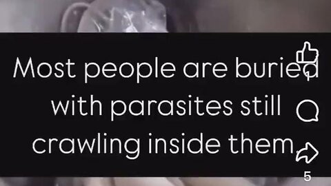 It’s all parasites (Links in Description)