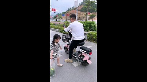 funny videos