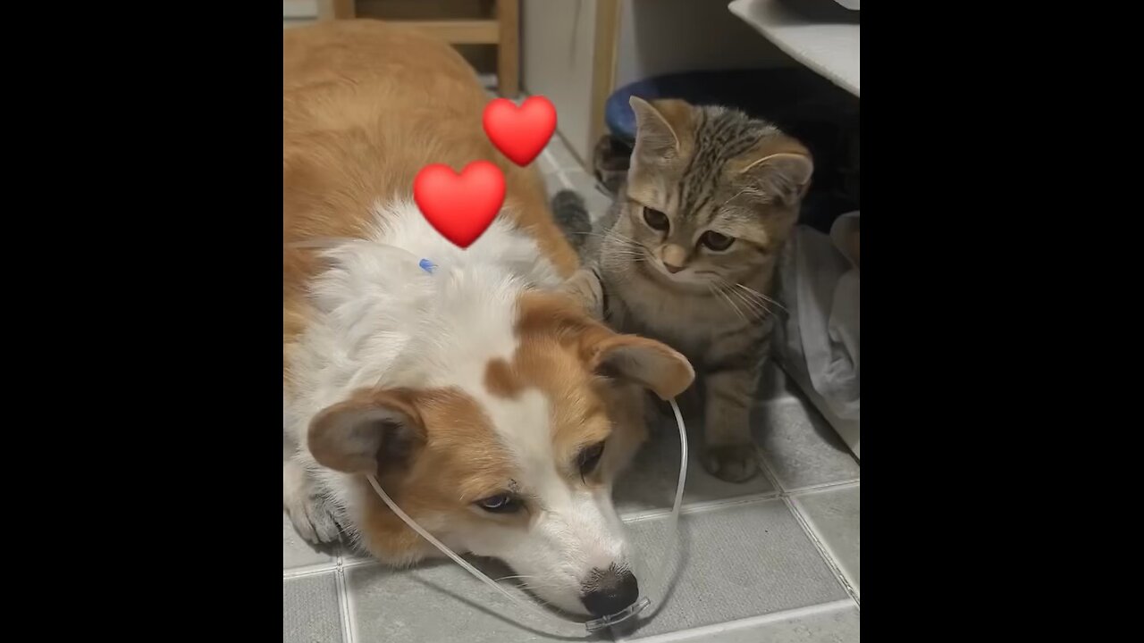 I'm so sad,you're not feeling well๐๐๐