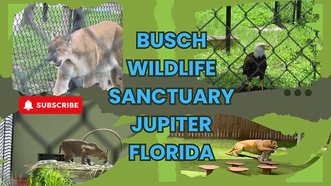Budget Friendly Family Outing at Busch Wildlife Sanctuary in Jupiter, Florida