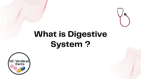 What is Digestive System ?