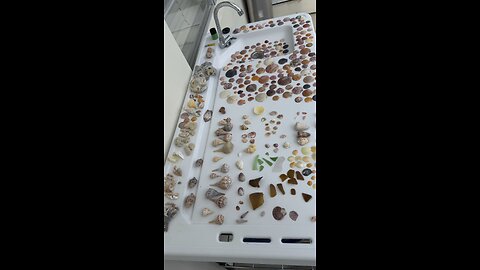 Beach Finds 6/24/25-6/25/25 | 4K
