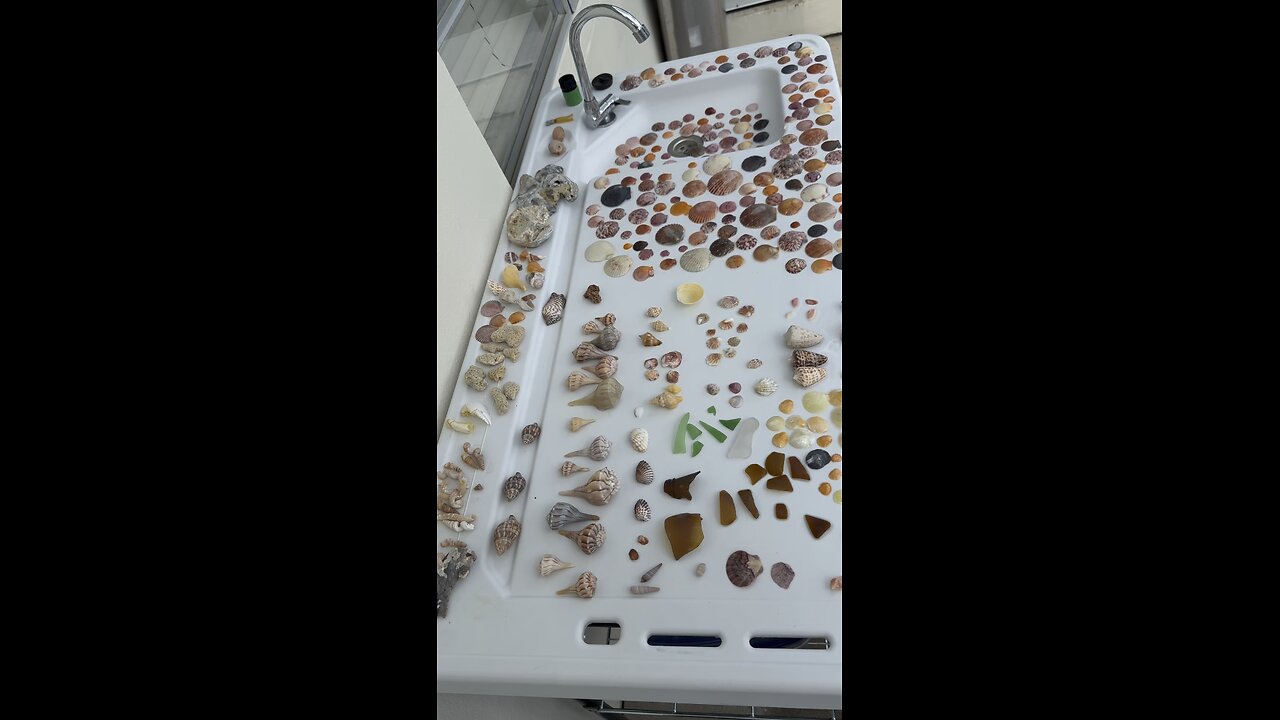 Beach Finds 6/24/25-6/25/25 | 4K