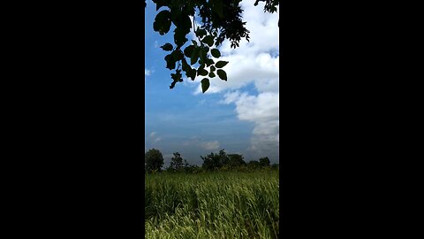 🔥Surah Adh-Dhāriyāt 51:55–56 — سورة الذاريات ⚡🌙🔥 #Quran #Viral #YouTubeShorts #love #shorts #fyp